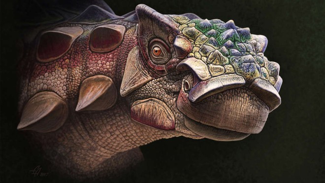 Con khủng long full giáp mới được tìm thấy này đã tiết lộ một sự thật rất thú vị - Ảnh 1.