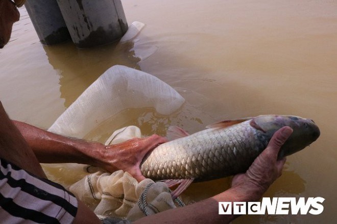 Ảnh: Nắng chang chang, dân Thủ đô vẫn chèo thuyền trong dòng nước ngập - Ảnh 15.