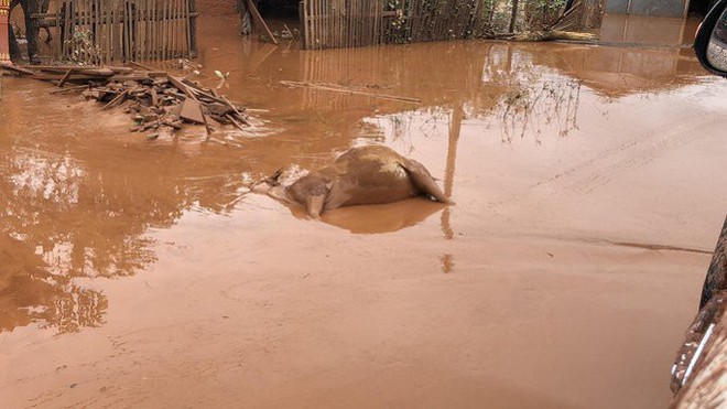 Vỡ đập thủy điện ở Lào: Mọi thứ ngập ngụa trong bùn, trẻ em lem luốc đói lả nhận cứu trợ - Ảnh 3.