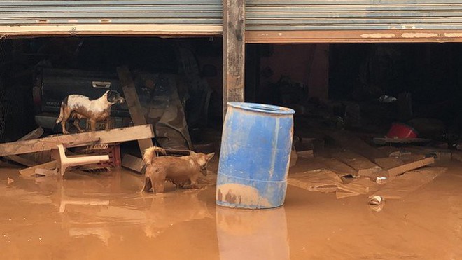Vỡ đập thủy điện ở Lào: Mọi thứ ngập ngụa trong bùn, trẻ em lem luốc đói lả nhận cứu trợ - Ảnh 4.