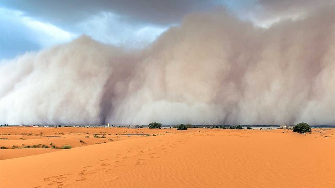 Những sự thật ít người biết về sa mạc Sahara - nóng bỏng, điên rồ nhưng kỳ diệu bậc nhất hành tinh - Ảnh 4.