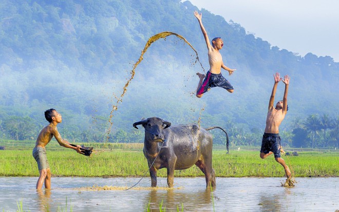 24h qua ảnh: Mặt đường tan chảy do nắng nóng 40 độ C ở châu Âu - Ảnh 1.