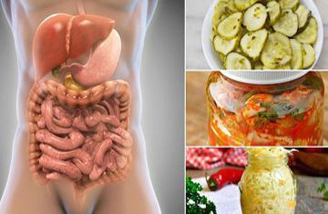 Vi khuẩn Probiotic tốt cho hệ tim mạch và cải thiện hệ thống miễn dịch - Ảnh 1.