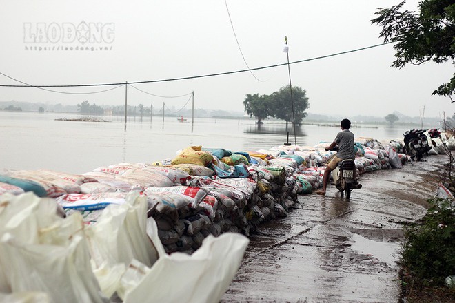 Chùm ảnh: Dân đê sông Bùi vật lộn chống lũ - Ảnh 4.