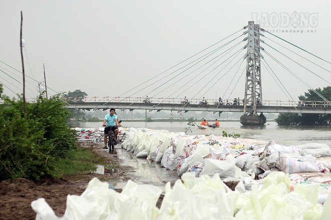 Chùm ảnh: Dân đê sông Bùi vật lộn chống lũ - Ảnh 5.