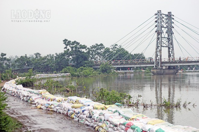 Chùm ảnh: Dân đê sông Bùi vật lộn chống lũ - Ảnh 6.