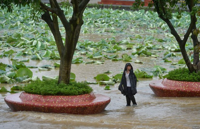 24h qua ảnh: Công nhân đô thị bảo vệ nắp hố ga giữa mưa, lụt ở Ấn Độ - Ảnh 5.