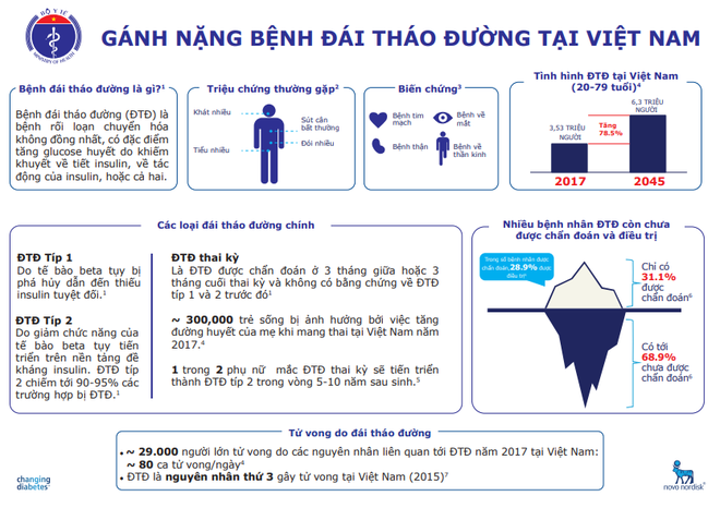 Gánh nặng bệnh đái tháo đường tại Việt Nam - Ảnh 1.