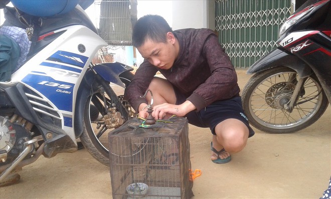 Chàng trai Lâm Đồng sở hữu cặp “thú cưng” độc lạ - Ảnh 6.
