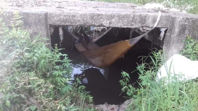 Mắc màn nằm dưới cống, cách chống nắng của người đàn ông vấp phải sự chỉ trích mạnh mẽ - Ảnh 1.