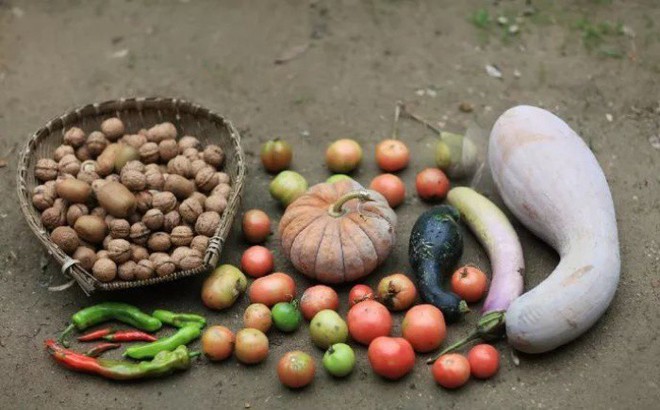 Yêu thích cuộc sống tĩnh lặng trên núi, cô gái 23 tuổi tự tay dựng ngôi nhà nhỏ, trồng rau, sống an nhàn những ngày thanh xuân - Ảnh 26.