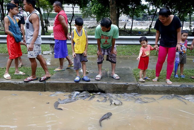 24h qua ảnh: Cá bị nước cuốn lên đường phố sau bão lớn ở Philippines - Ảnh 3.