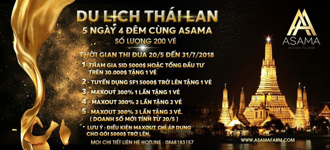 Asama Mining và khoản thưởng “khủng” khiến nhà đầu tư mờ mắt - Ảnh 1.