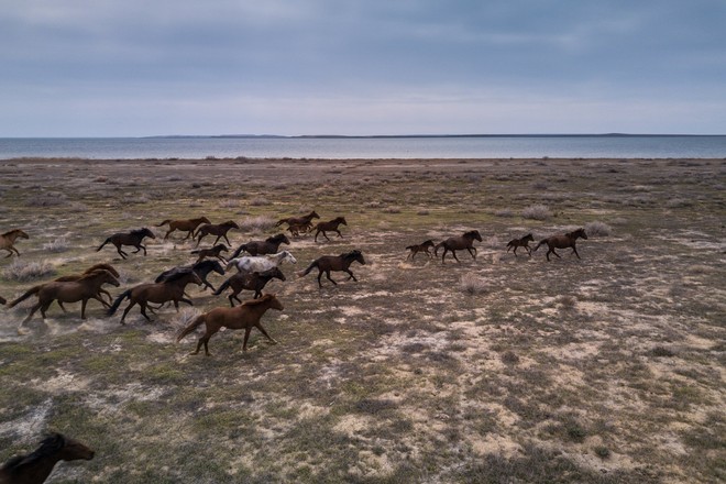 Từng là hồ lớn thứ tư thế giới, nước ở Aral đang dần cạn kiệt: Chuyện kỳ dị gì đã diễn ra? - Ảnh 5.