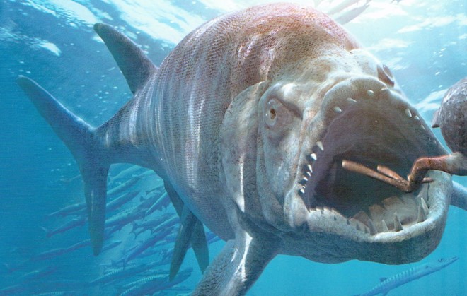 Đây là 5 con quái vật tiền sử cũng xứng đáng được lên phim giống Megalodon - Ảnh 4.