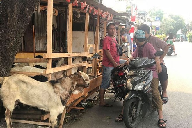 Ký sự Asiad 2018: Trên những nẻo đường Jakarta - Ảnh 1.