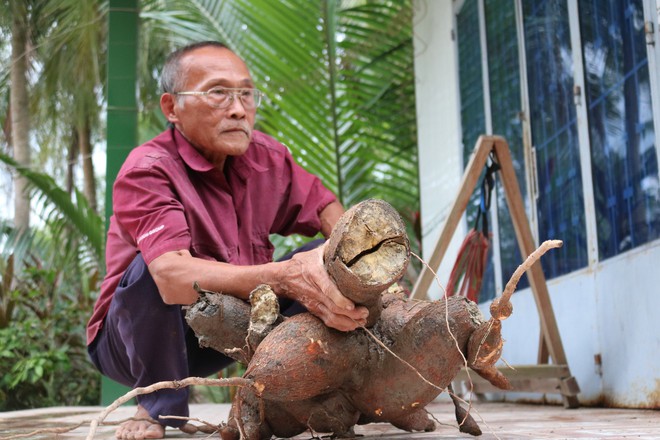 Thu hoạch được củ sắn “khủng” nặng gần 20 kg, người dân nhất định không bán - Ảnh 1.