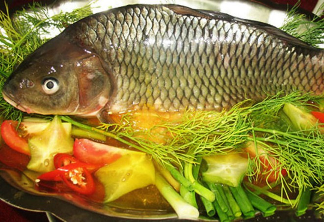 Kết hợp thế này khi nấu ăn, cá chép không chỉ ngon, bổ lại có thể được sử dụng làm thuốc chữa bệnh - Ảnh 1.