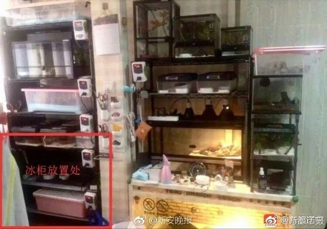Vụ người mẫu Trung Quốc bị giết chết và giấu xác trong tủ lạnh: Tòa tuyên án tử hình người chồng dã man - Ảnh 3.