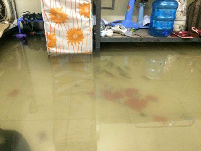 CLIP: Vị khách tung tăng dẫn đoàn đi ăn cỗ rằm tháng 7 khiến dân mạng bật cười thích thú - Ảnh 3.