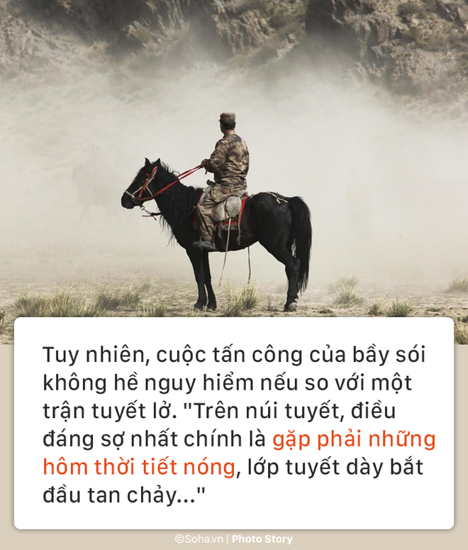 Đội kỵ binh thiện chiến cuối cùng của Trung Quốc: Đỉnh cao về kỹ thuật cưỡi ngựa và ám sát - Ảnh 10.