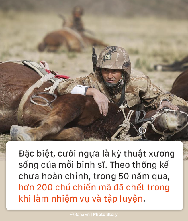 Đội kỵ binh thiện chiến cuối cùng của Trung Quốc: Đỉnh cao về kỹ thuật cưỡi ngựa và ám sát - Ảnh 4.