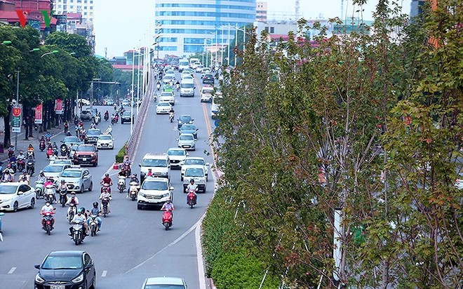 Những hàng cây Phong trên đường phố Hà Nội ngả màu khi Thu sang - Ảnh 1.