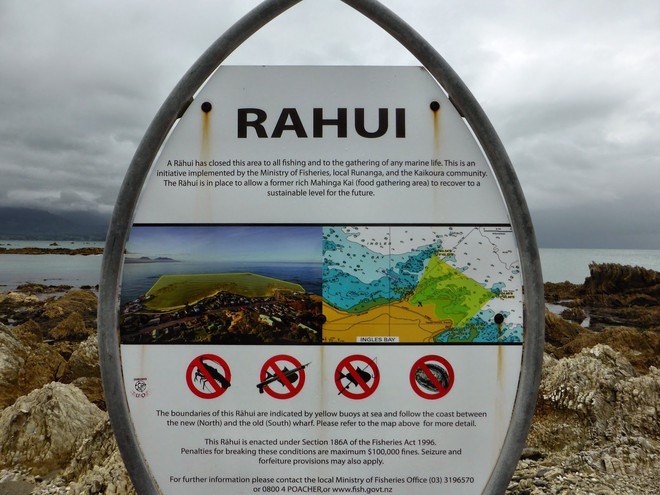 Người New Zealand có một phong tục cực hay và ý nghĩa để bảo vệ thiên nhiên - Ảnh 4.