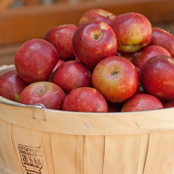 Tự trồng táo Tây siêu lùn, cây sai trĩu quả khiến bạn thu hoạch mỏi tay - Ảnh 7.