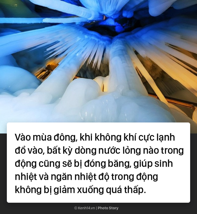 Trung Quốc: Hang động băng giá không bao giờ tan chảy dù trong mùa hè nắng nóng - Ảnh 4.