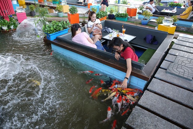 Trải nghiệm uống cà phê giữa hồ cá Koi tiền tỉ ở Sài Gòn - Ảnh 2.