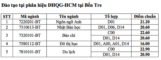 Điểm chuẩn trường Đại học Khoa học xã hội và Nhân văn TPHCM cao nhất 24,9 điểm - Ảnh 3.