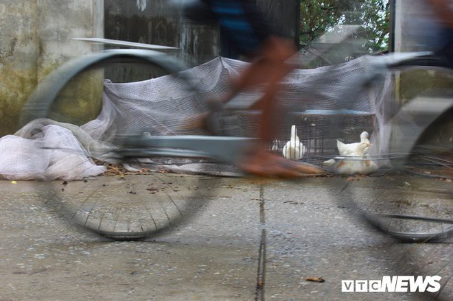 Ảnh: Rốn lũ Hà Nội thay đổi không ngờ sau nửa tháng chìm trong biển nước - Ảnh 14. Ảnh: Rốn lũ Hà Nội thay đổi không ngờ sau nửa tháng chìm trong biển nước - Ảnh 14.