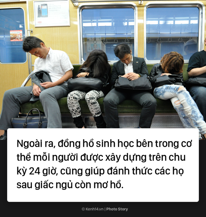 Khả năng đặc biệt của người Nhật, ngủ say không báo thức vẫn không quên giờ xuống tàu - Ảnh 5.