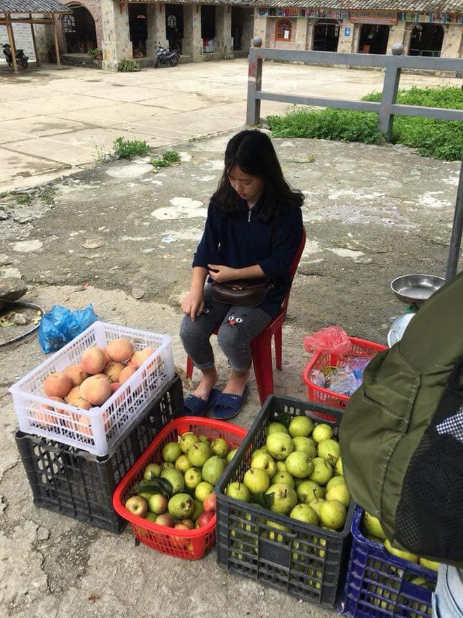 Bán hoa quả ở Hà Giang, cô gái 15 tuổi khiến chàng trai đòi làm rể, dân mạng nhận ra người quen cũ - Ảnh 4.