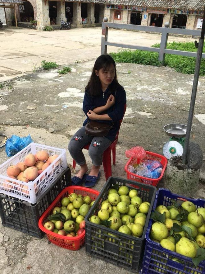 Bán hoa quả ở Hà Giang, cô gái 15 tuổi khiến chàng trai đòi làm rể, dân mạng nhận ra người quen cũ - Ảnh 3.