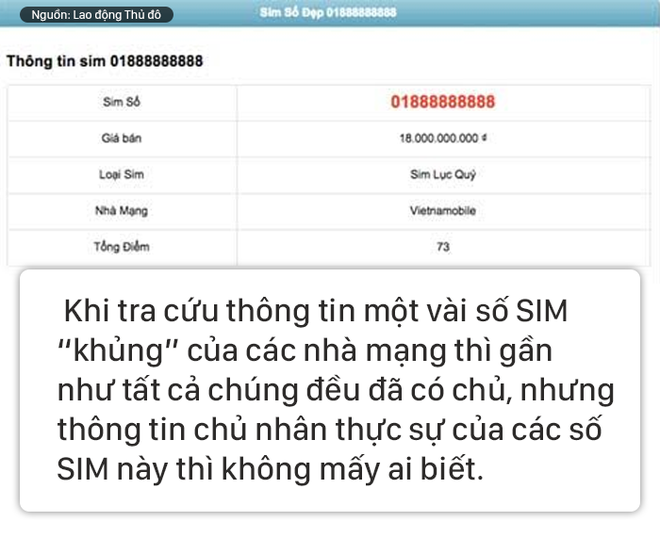 [Photostory] Bí ẩn những đại gia giấu mặt, chủ nhân siêu sim triệu đô ở Việt Nam - Ảnh 8.