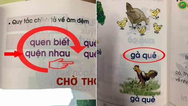 Sách tiếng Việt cho trẻ lớp 1 có nhiều vấn đề sai lệch, phản cảm và sự phản biện của người trong cuộc  - Ảnh 5.