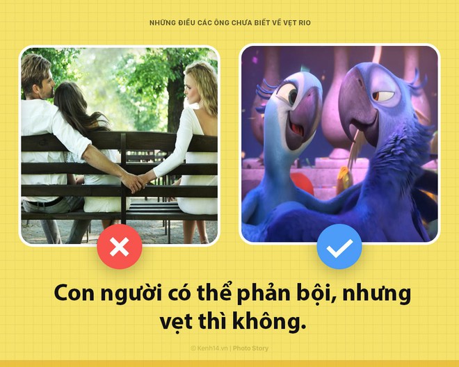 Xin chào! Tôi là vẹt trong phim Rio đây và các ông nên biết tôi đang khổ sở đến thế nào - Ảnh 4.