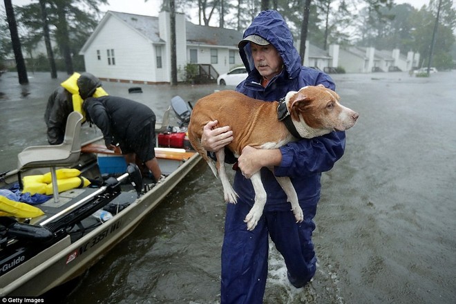 Bão quái vật Florence: Gần 1 triệu người không có điện sử dụng, hàng trăm cư dân hối hận vì không chịu sơ tán - Ảnh 3.