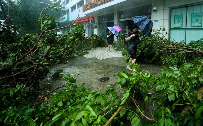 Siêu bão Mangkhut vừa đổ bộ vào tỉnh Quảng Đông, Trung Quốc với sức gió hơn 160 km/h - Ảnh 3.
