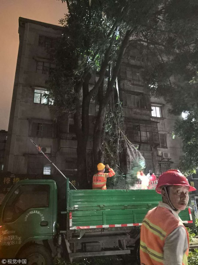 TQ: Vua bão Mangkhut quật vỡ cửa sổ, đánh bật gốc cây, làm thương vong hàng trăm người - Ảnh 8.