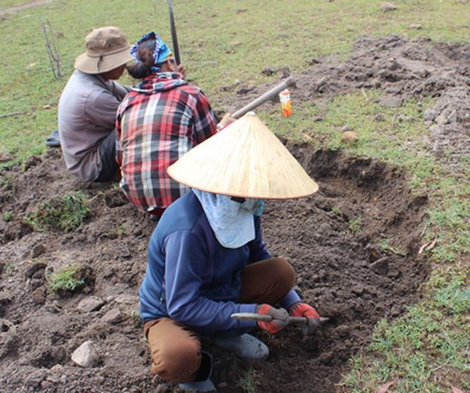 Người dân Phú Yên đổ xô đào đá đen bán giá 4 triệu đồng/kg - Ảnh 5.