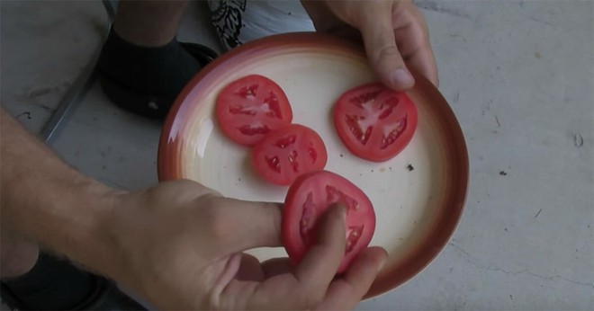 Cà chua chín nẫu đừng vứt đi, hãy thái lát bỏ vào chậu đất, bạn sẽ có cà chua ăn thoải mái - Ảnh 1.