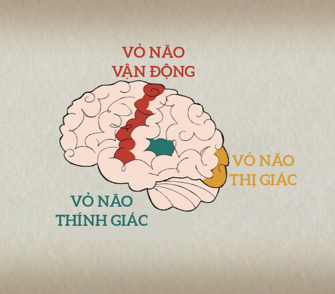 Nghe rõ mồn một tiếng bước chân của người khác, nhưng bạn đã từng nghe thấy tiếng chân của chính mình chưa? - Ảnh 3.