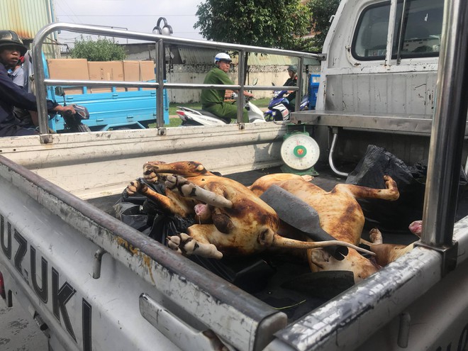 Tiểu thương chợ thịt chó nổi tiếng nhất Sài Gòn ôm thịt tháo chạy, khóa cửa nhà khi bị kiểm tra - Ảnh 1.