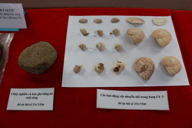 Ảnh: Xương người tiền sử trong hang động núi lửa được phát hiện ở Đắk Nông - Ảnh 10.