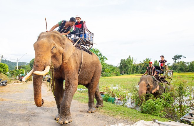 Châu Đăng Khoa, Karik cưỡi voi băng hồ quay “ Người lạ ơi” cực độc! - Ảnh 4.