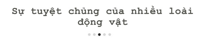 5 mối đe dọa lớn nhất với môi trường - Ảnh 6.