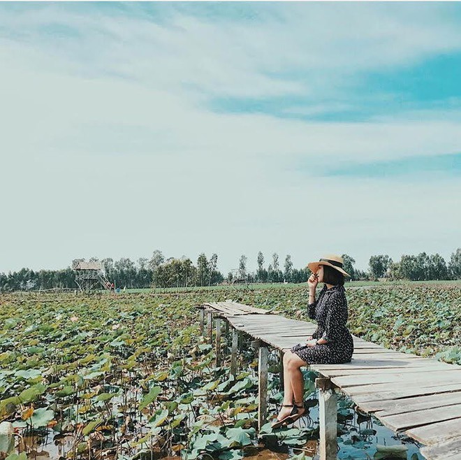 Thu sang, hãy thử quên lá vàng miền Bắc để về với miền Tây đón mùa nước nổi - Ảnh 22.